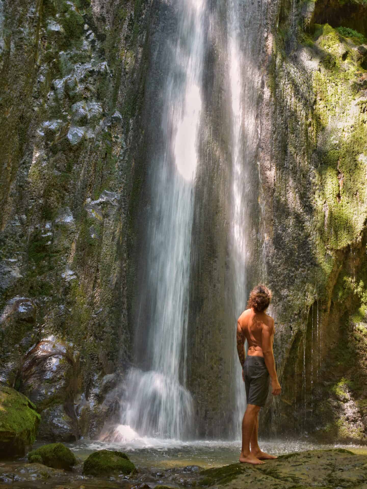 Carnivore-Kickstarter-Program Carnivore Kickstarter Program